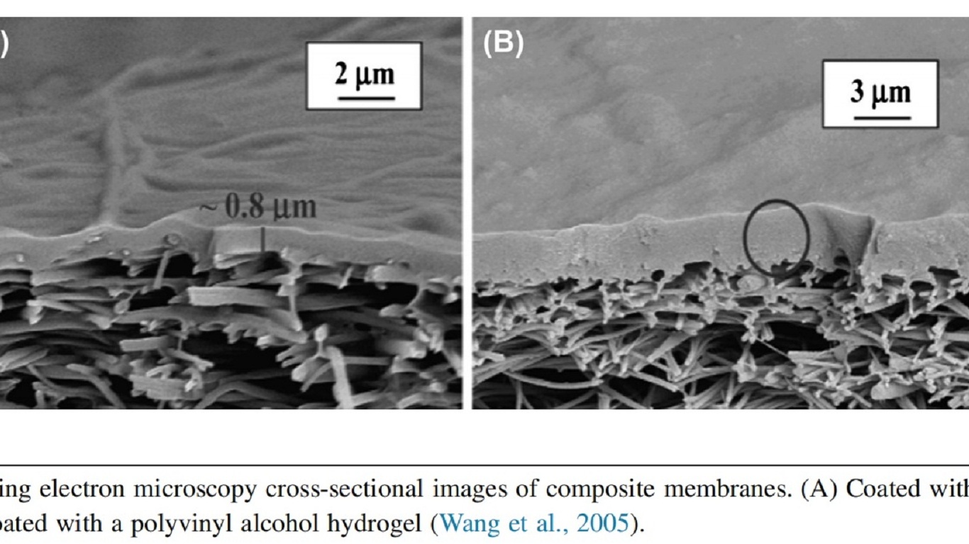 Typical scanning electron microscopy cross-sectional images of composite membranes.