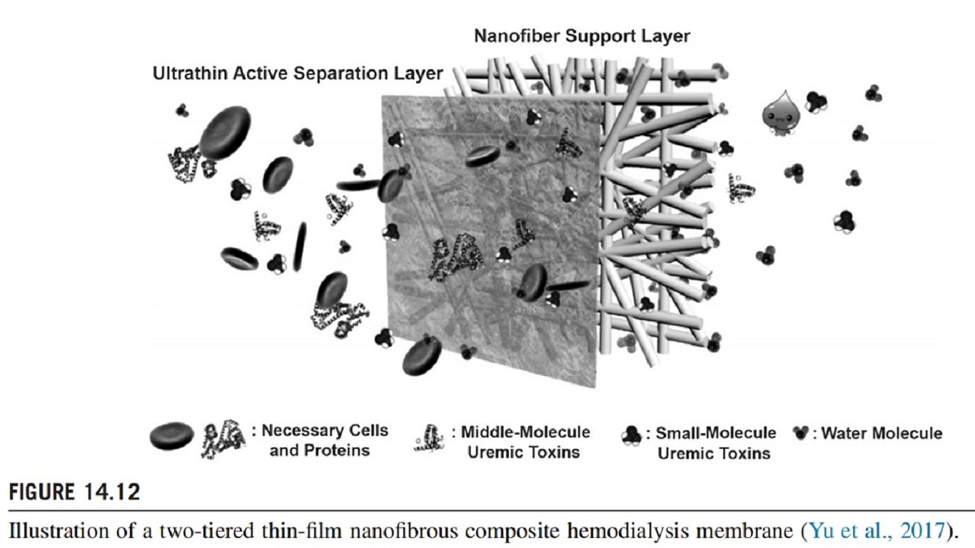 Illustration of a two-tiered thin-film nanofibrous composite hemodialysis membrane