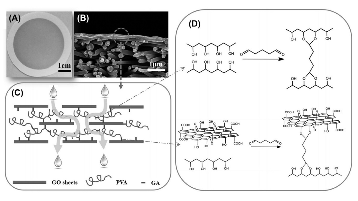 Illustration of the structure design of a graphene oxideepolyvinyl alcoholeglutaraldehyde/ polyacrylonitrile (GO-PVA-GA/PAN) thin-film nanofibrous composite (TFNC) membrane.