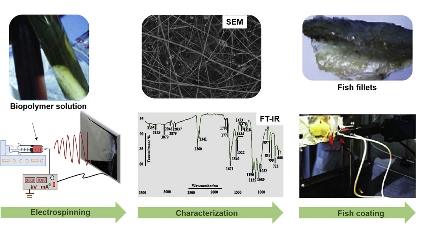 Process of coating fish fillets with electrospun nanofibers.