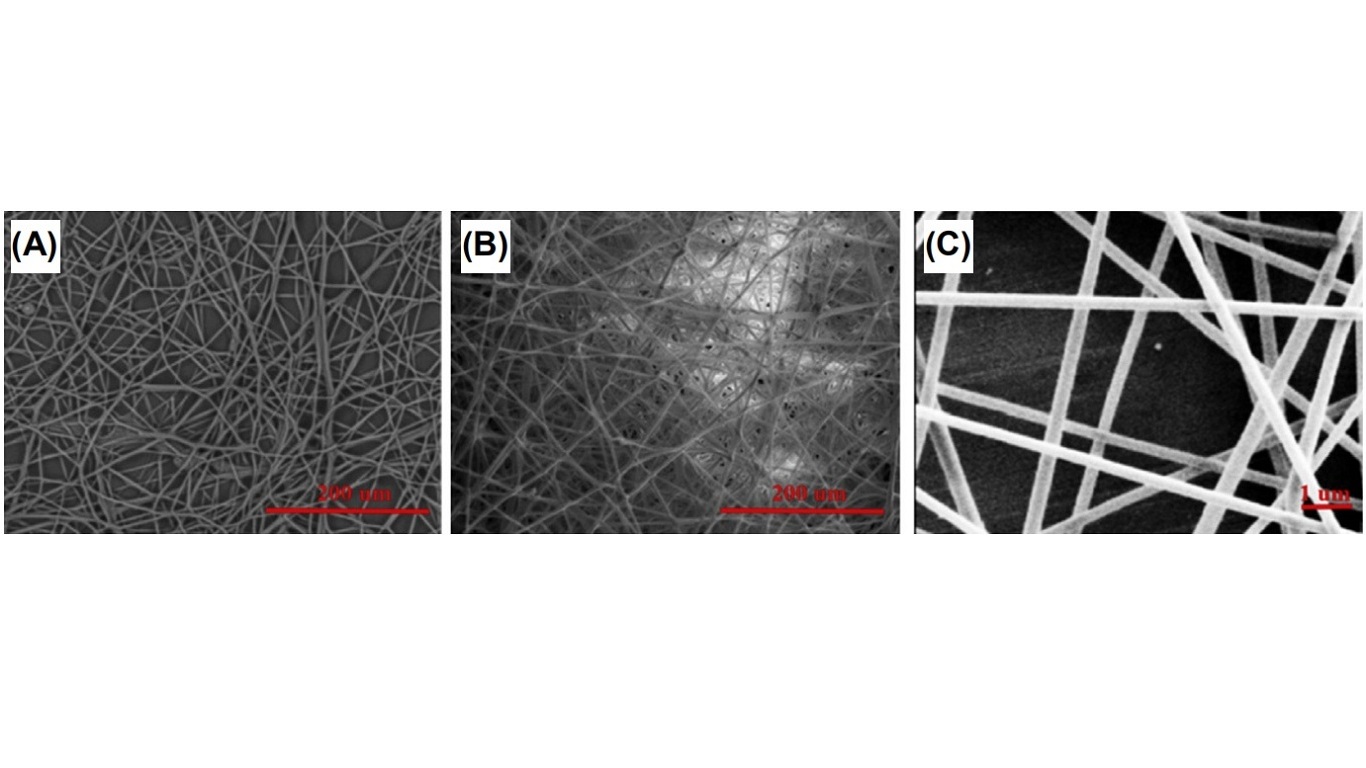 Scanning electron microscopy images of (A) pure starch fibers, (B) Starchepalmitic acid fibers, and (C) Polyvinyl alcohol/oxidized starch fibers.