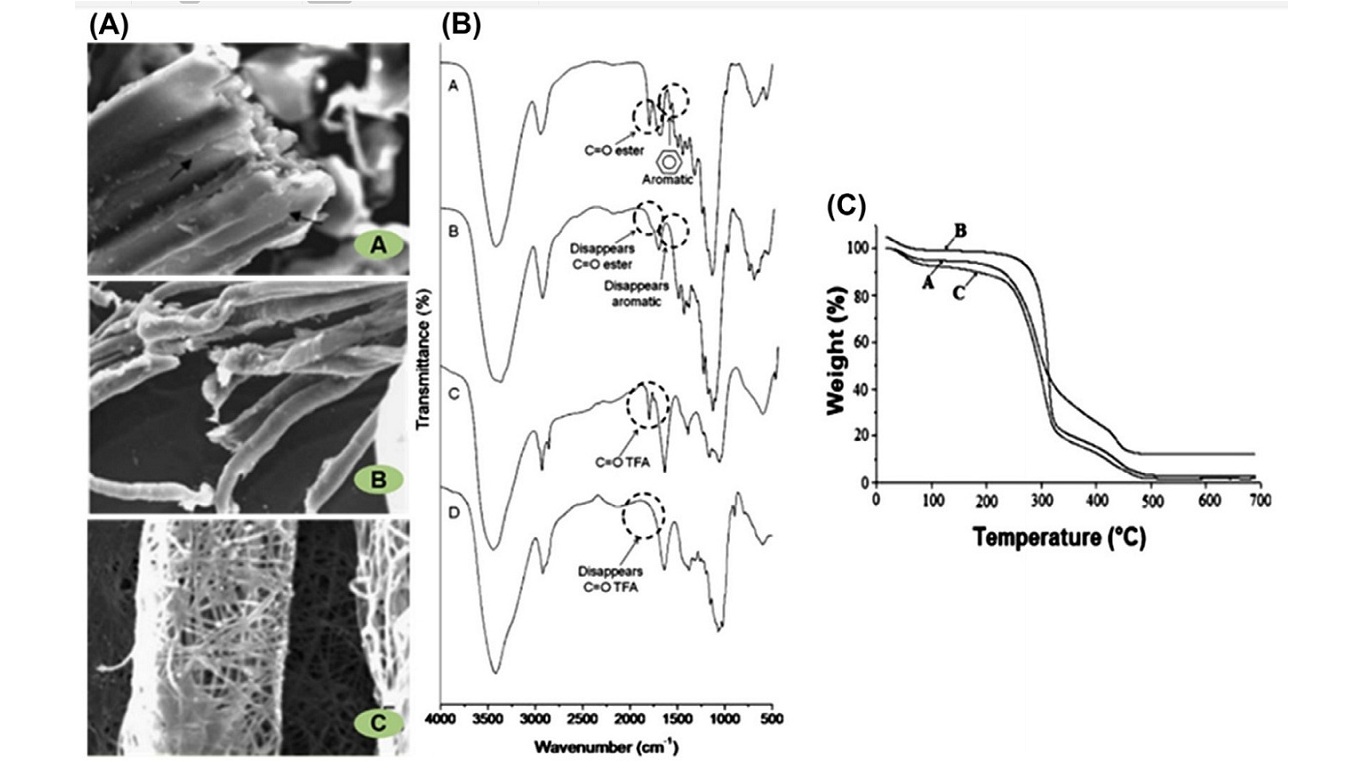 (A) Scanning electron microscopy images, (B) Fourier transform infrared spectra, and (C) thermal gravimetric analysis of (image A) durum wheat straw, (image B) cellulose fibers after chemical treatment, and (image C) cellulose nanofibers. Trace D in (B) is for nanofibers after being exposed to air. TFA, trifluoroacetate.