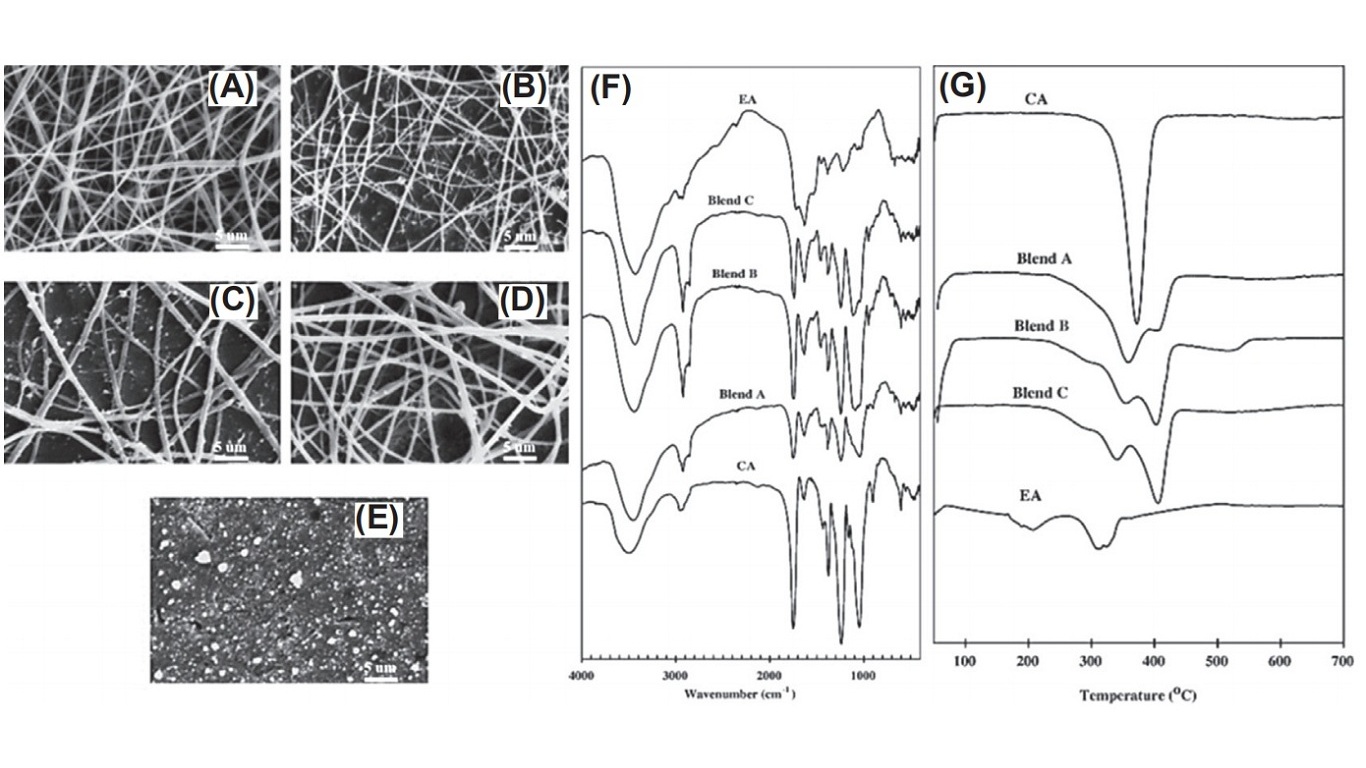 Scanning electron microscopy images of the electrospun products from (A) the primary CA solution (20 wt% CA in 85% acetic acid), (B) blend A, (C) blend B, (D) blend C, and (E) the primary EA solution (12 wt% EA in 50% formic acid). Blends A, B, and C are defined in Table 15.2. (F) Fourier transform infrared (FT-IR) spectra and (G) thermal gravimetric analysis (TGA) of the electrospun samples. CA, cellulose acetate; EA, egg albumen.