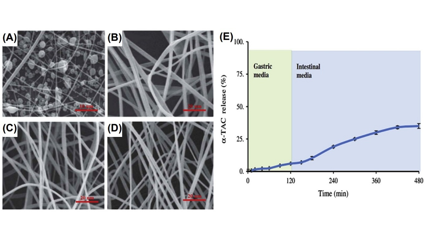 Scanning electron microscopy images of (A) fibers prepared with 0.375 g/mL dextran under a voltage of 14 kV, flow rate of 1 mL/h, and distance of 15 cm at 25C; (B) vitamin E-loaded dextran nanofibers prepared with 1 g/mL dextran solution under 15 kV of voltage; (C) vitamin E-loaded dextran nanofibers prepared with 1.25 g/mL dextran under 13 kV of voltage; and (D) vitamin E-loaded dextran nanofibers prepared with 1 g/mL dextran solution under 13 kV of voltage. (E) The release profile of vitamin E (a-TAC) from dextran nanofibers in gastrointestinal media