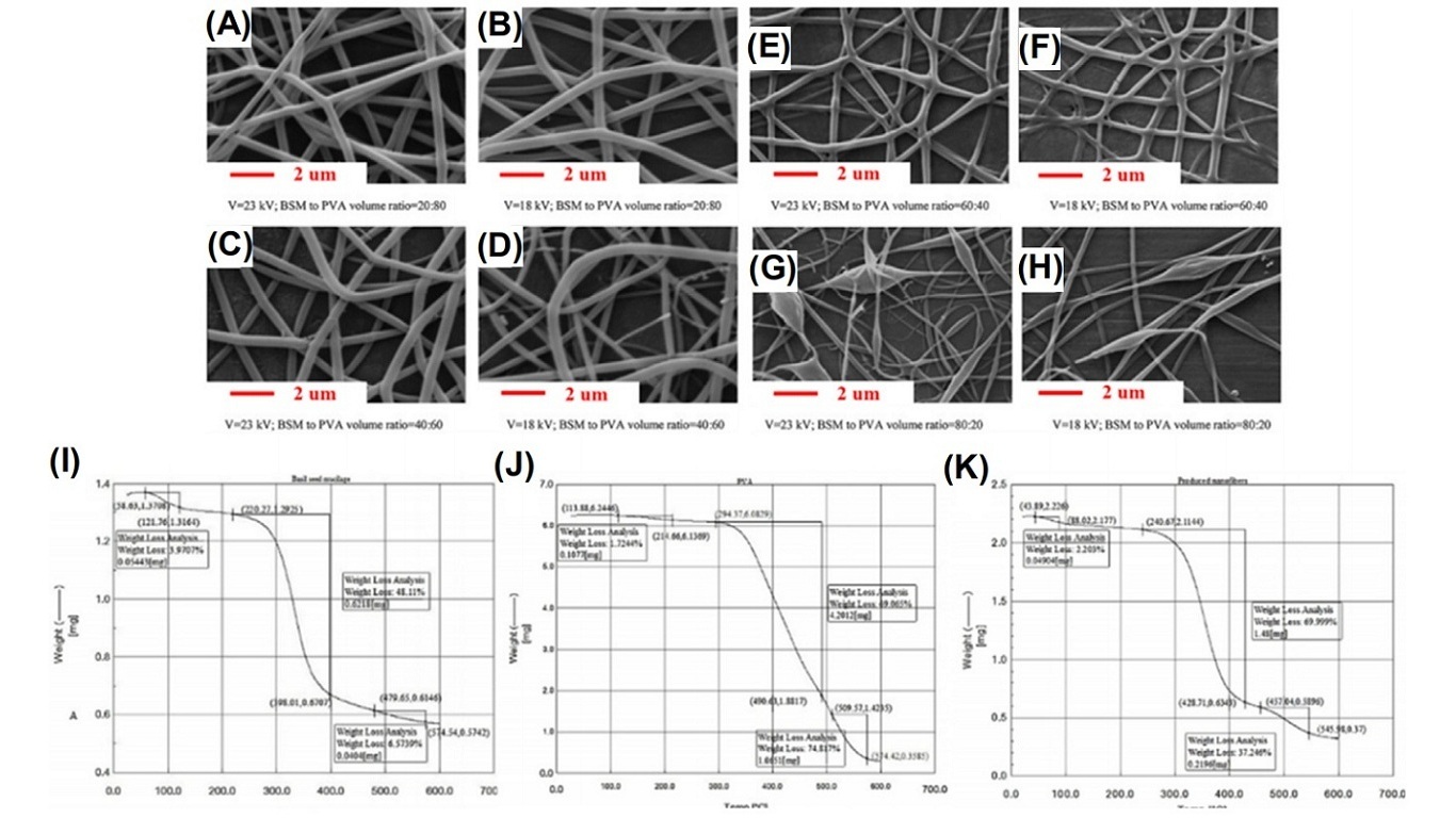 Scanning electron microscopy images of electrospun nanofibers fabricated from BSM and PVA solution (A) at a ratio of 20:80 (v/v) under voltage of 23 kV, (B) at a ratio of 20:80 (v/v) under voltage of 18 kV, (C) at a ratio of 40: 60 (v/v) under voltage of 23 kV, (D) at a ratio of 40:60 (v/v) under voltage of 18 kV, (E) at a ratio of 60:40 (v/v) under voltage of 23 kV, (F) at a ratio of 60:40 (v/v) under voltage of 18 kV, (G) at a ratio of 80:20 (v/v) under voltage of 23 kV, and (H) at a ratio of 80:20 (v/v) under voltage of 18 kV. Thermal gravimetric analyses of (I) BSM, (J) PVA, and (K) nanofibers electrospun from BSM and PVA solution. BSM, basil seed mucilage; PVA, polyvinyl alcohol.